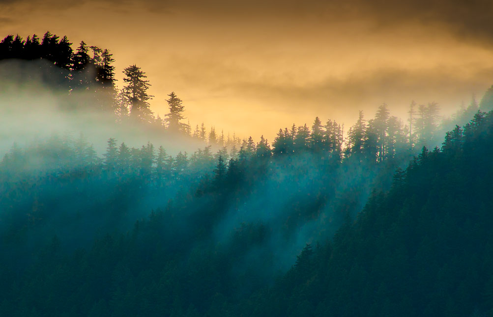 . Mist rolls in from the Strait of Juan de Fuca over Pyramid Peak