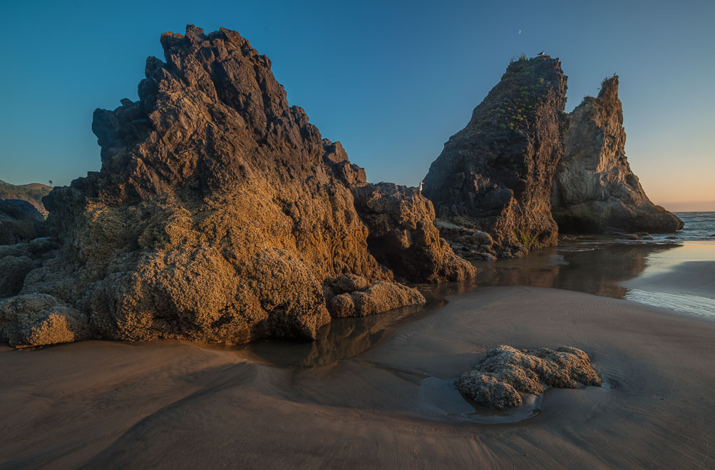 Sand, stone and one Gull per rock. Arcadia Beach State Park