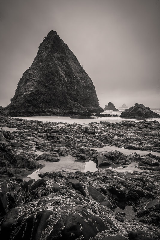 Morning Calm. Arch Cape