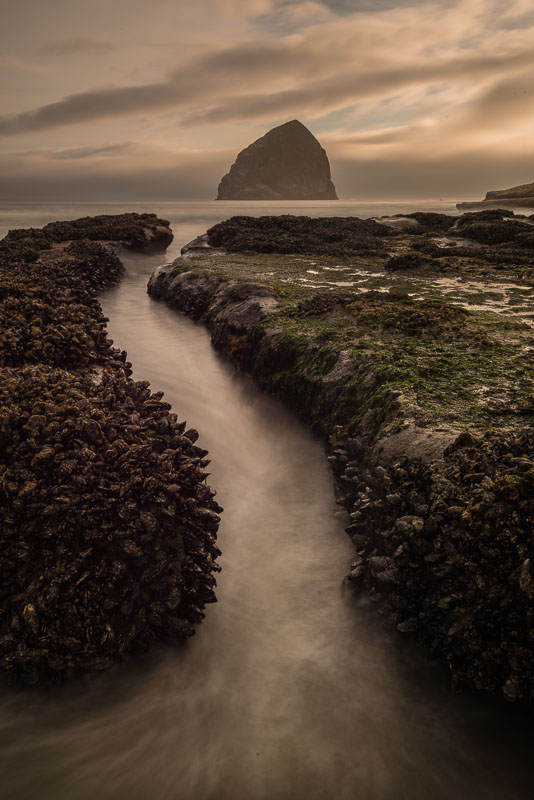 Mussel Channel, Cape Kiwanda