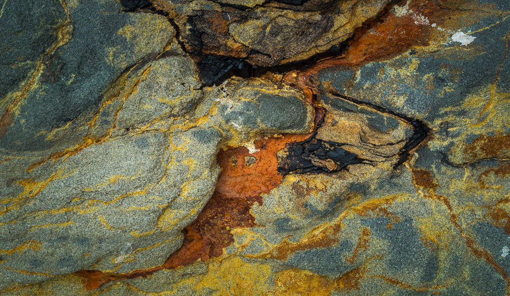 Firebird. Cape Kiwanda. The black areas are ancient charcoal embedded in the sandstone.