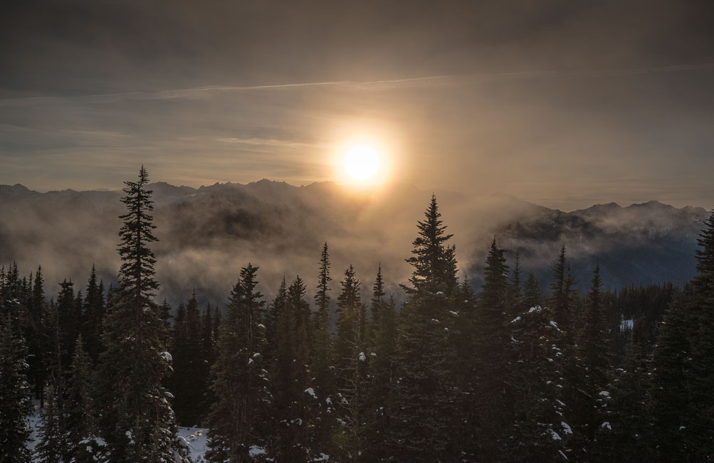 Clearing mist near sunset at Hurricane Ridge