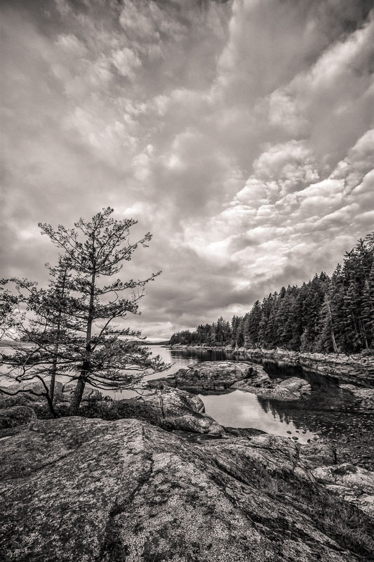 Morning at Saltery Bay