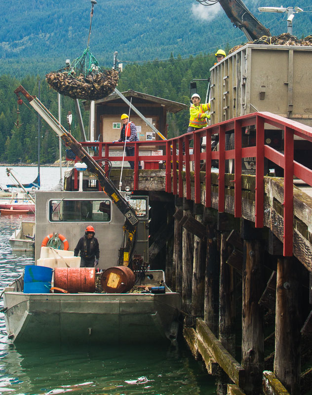 Oster Harvest, Okeover Inlet