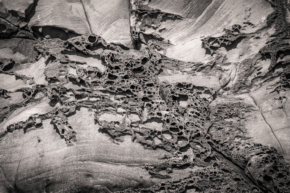 Sculpted fossil form of Sandstone, Wildcat Cove, Washington