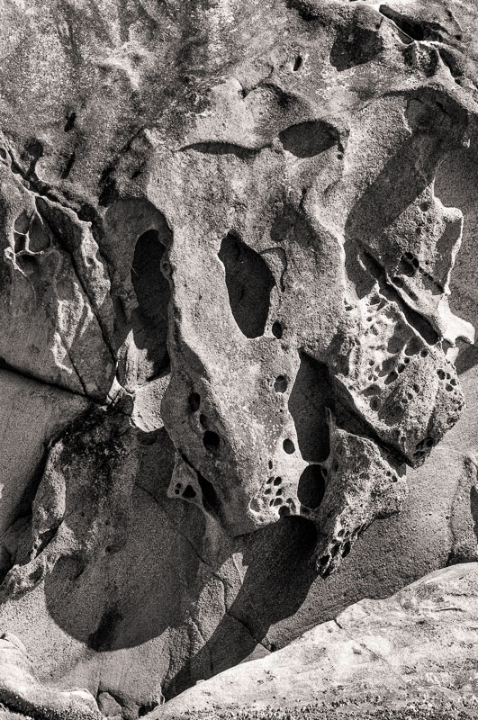 Sandstone "Animal Mask", Wildcat Cove, Washington