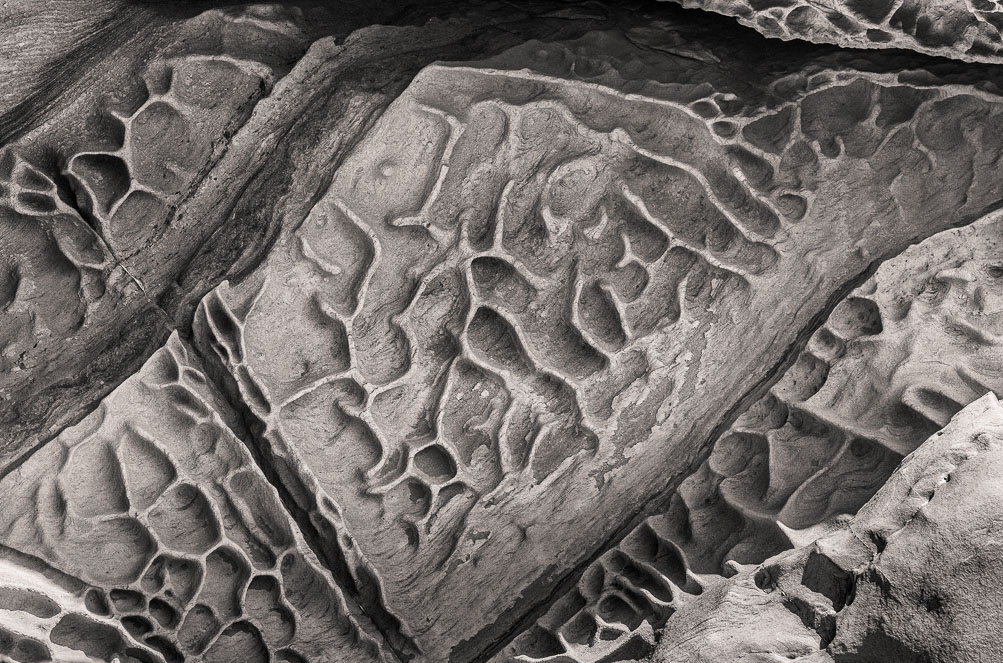 Abstract, Sandstone, Wildcat Cove, Washington