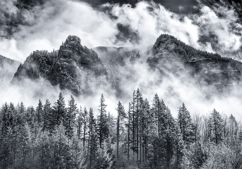 Clearing between snow cells, Columbia Gorge, Oregon