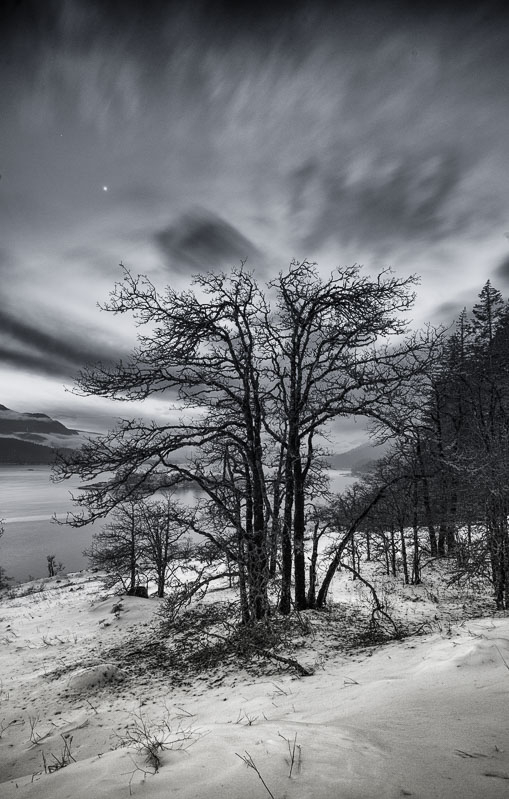 Tranquille Winter Evening, Columbia Gorge, Washington