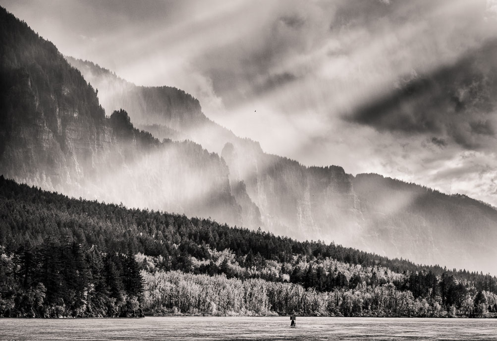 Eagle Flying in the Sunbeams,  Columbia Gorge, Oregon