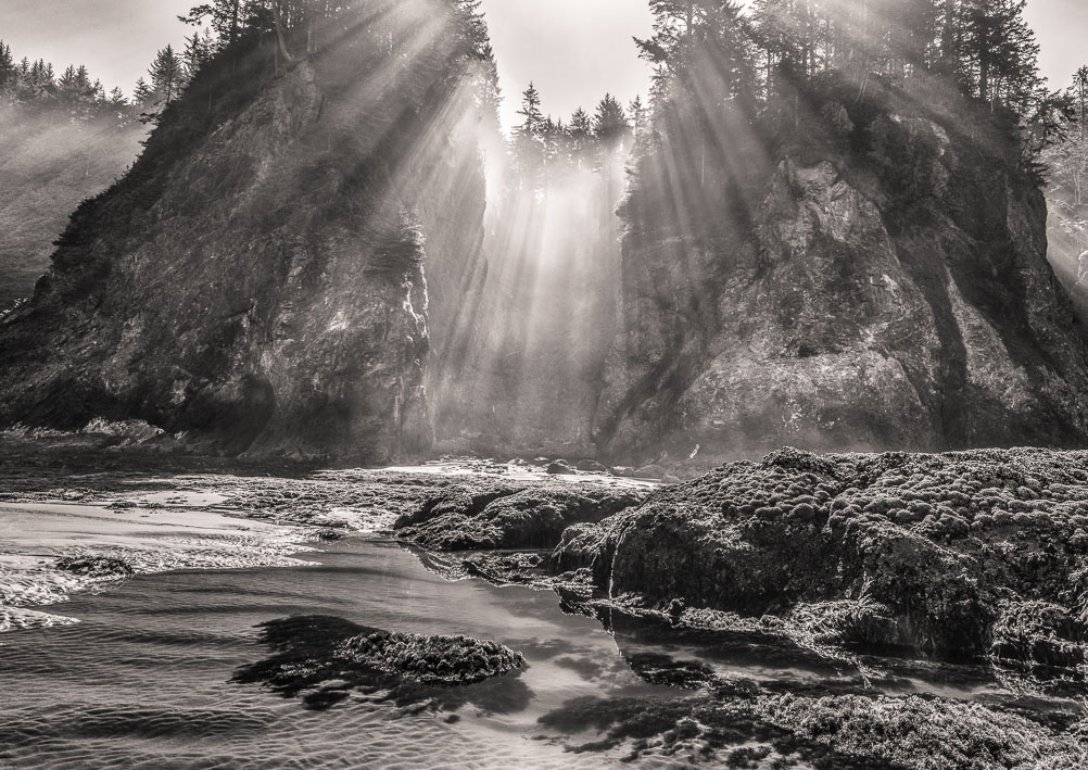 Diamond Light 3, Second Beach, Olympic National Park, Washington