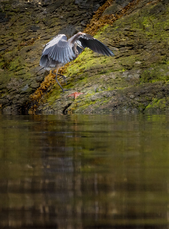 Graceful landing