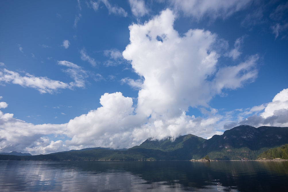 Joyous cumulus clouds