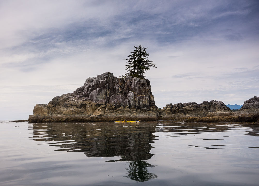 Lynn approaching a lone tree
