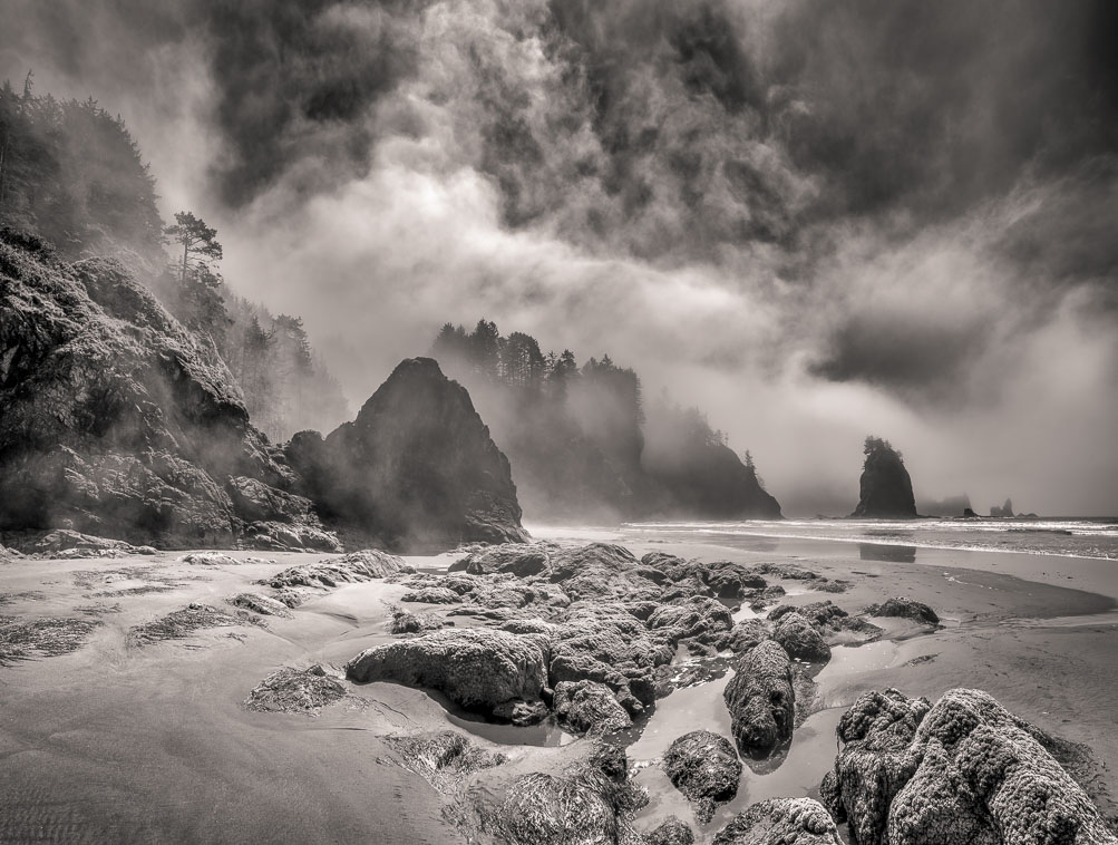 . Active Fog, La Push, Washington. The fog lingered for quite some time as moist air met the shoreline.