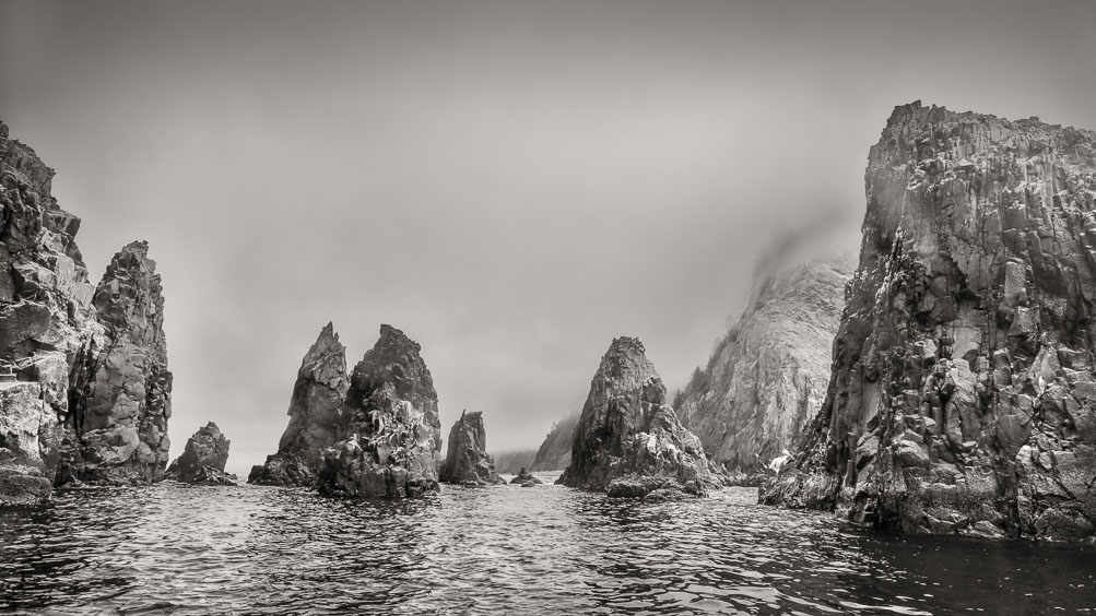 . Last Remnants, Oregon Coast