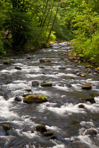 Tanner Creek, near Munra Falls