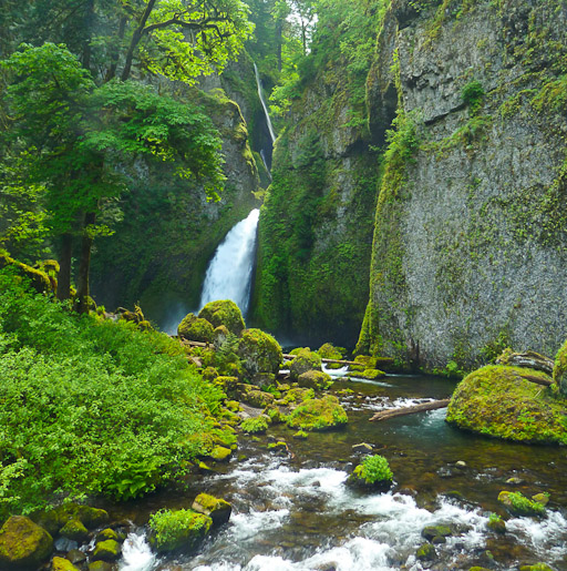 Walchella Falls