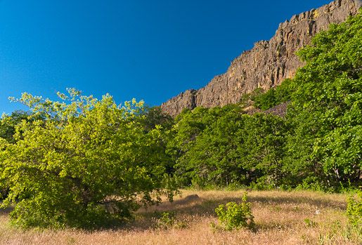 Coyote Wall