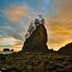 Photographs of Olympic National Park, Summer, 2010