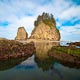 Gallery of Olympic National Park, Spring, 2011